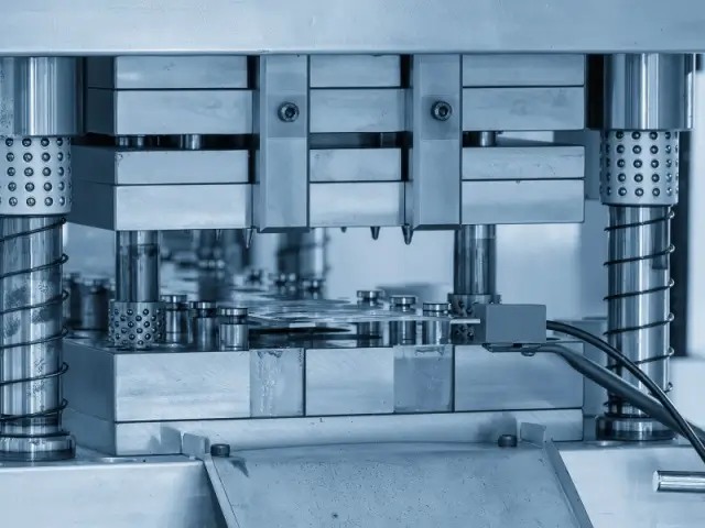 Shutterstock_2631153105